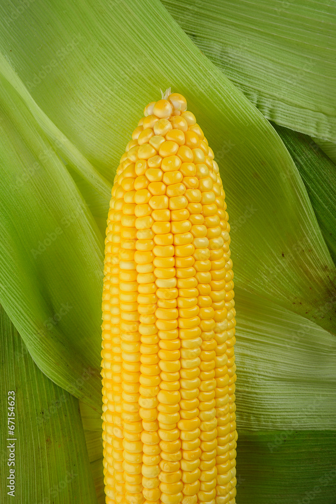 Sticker corn