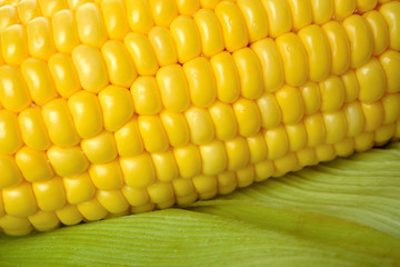 corn
