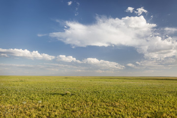 Fototapeta na wymiar short grass prairie in Colorado