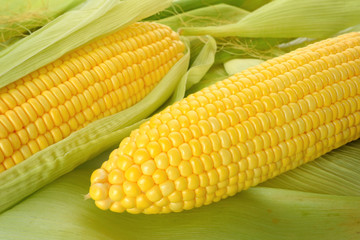 corn