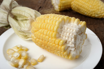 corn