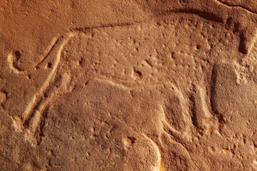 Fototapete Rund Antike Felsgravur in der Wüste Sahara © Dmitry Pichugin