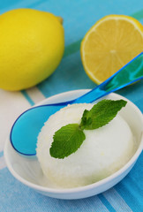 Lemon sorbet garnished with mint leaf