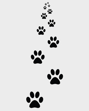 Black prints of paws of dogs, vector illustration