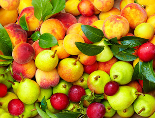 mix of fresh summer fruit