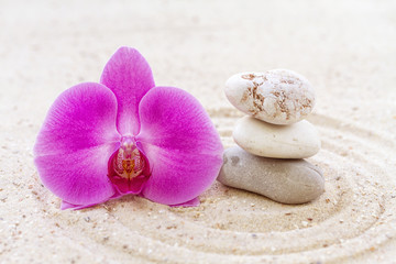 Fototapeta na wymiar Orchid with zen stones in the sand