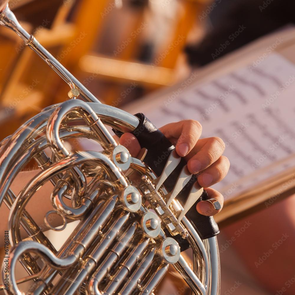 Wall mural French horn in the hands of a musician closeup