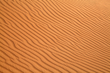 Red sand desert