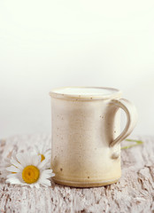 Fresh milk in ceramic mug