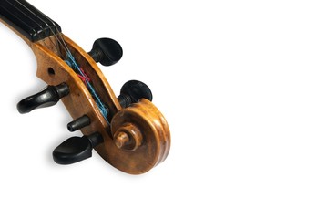 Peg box and scroll of old scratched violin.