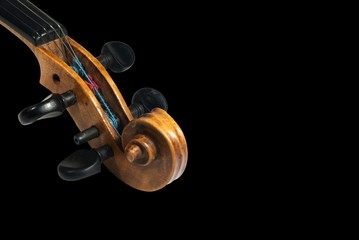 Peg box and scroll of old scratched violin.