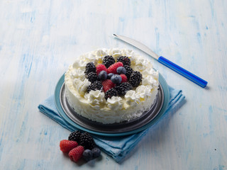 ice cream cake with mix berries