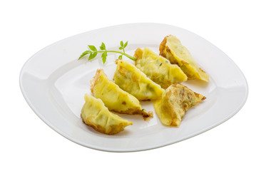 Japan dumplings - gyoza