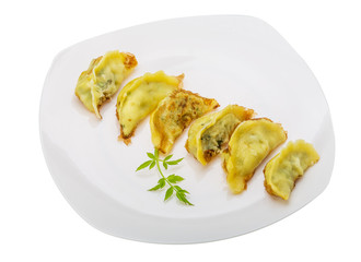 Japan dumplings - gyoza