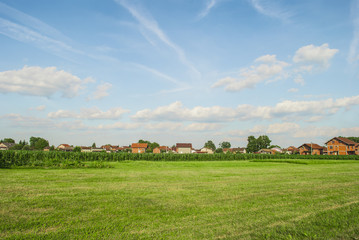 Fototapeta premium Landscape - Cornfield & Houses on the Horizon