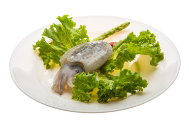 Raw cuttlefish