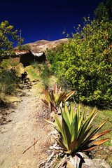 Rio Santa Valley and Cordiliera Blanca, Peru, South America