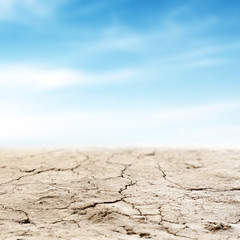 Obraz premium summer