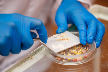 Dentist prepares solution for seals