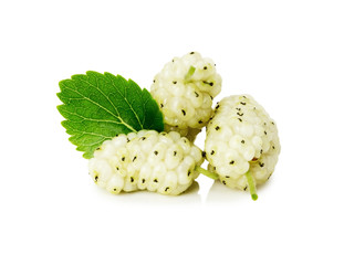 white mulberry with leaf on white background