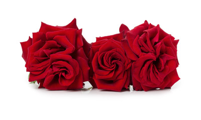bouquet of beautiful red roses on the white background