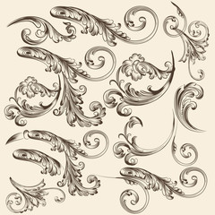 Collection of vector swirls for design