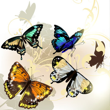 Fashion background with vector butterflies