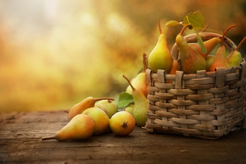 Autumn pears