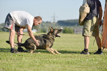 police dog