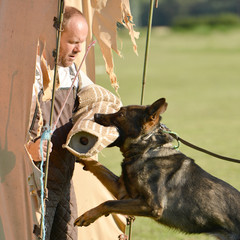 police dog