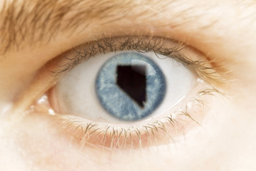 Close-up of an eye with the pupil in the shape of Nevada.(series
