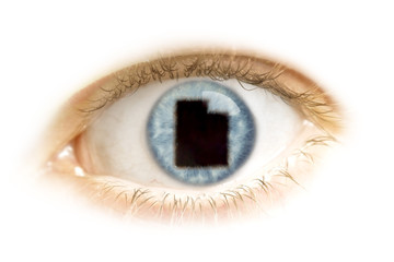 Close-up of an eye with the pupil in the shape of Utah.(series)