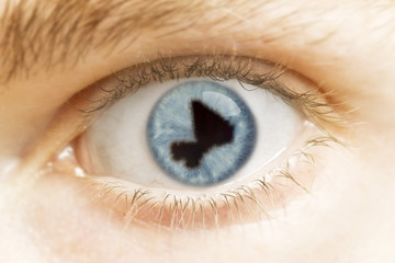 Close-up of an eye with the pupil in the shape of Mali.(series)