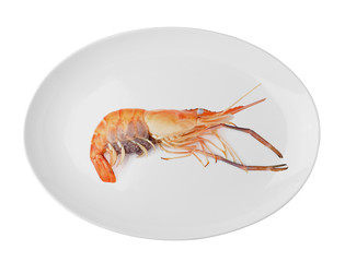 Shrimp on white plate