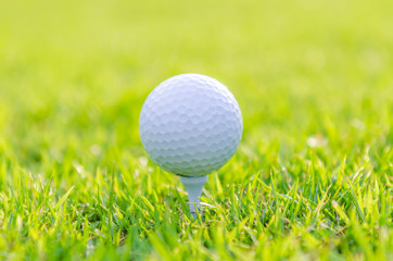 Golf ball on green grass