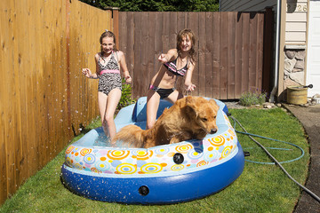 Naklejka premium kids and dog playing in a pool