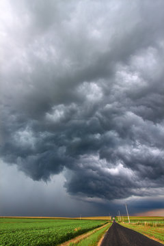 Severe Thunderstorm in Illinois