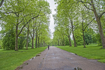Fototapeta na wymiar People walking in a large park with trees