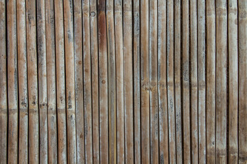 bamboo background