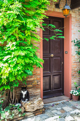Fototapeta na wymiar Entrance to the old Italian house and the cat