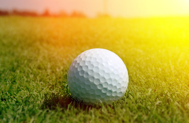 Golfball in grass