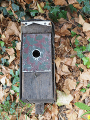 Bird box