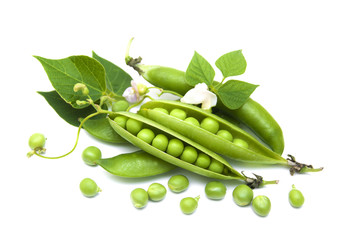 Fresh Garden Peas