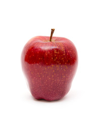 Red apple on white background