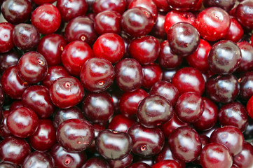 Ripe cherry closeup as background