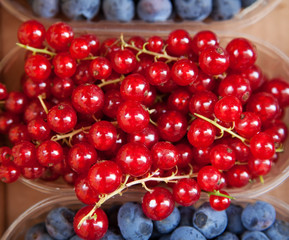 Redcurrants