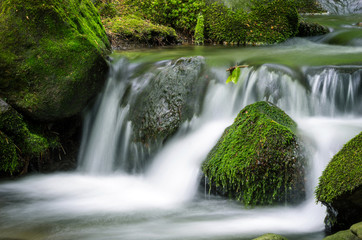 mountain stream
