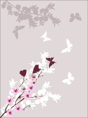 Fototapeta na wymiar spring tree pink blossoming branches and eight butterflies