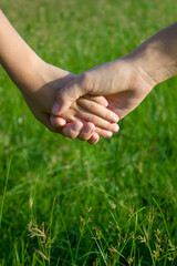 Kid and parent holding hands in the field