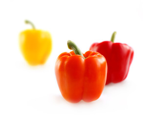 Paprika isolated.